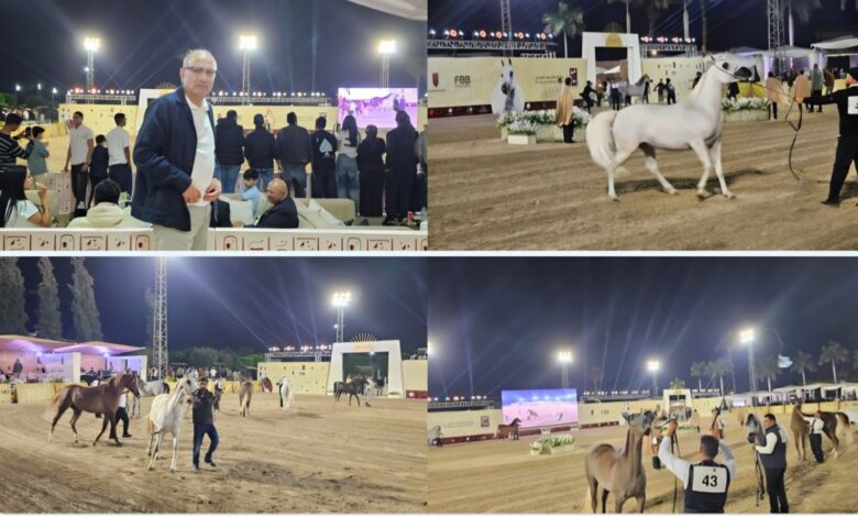 السفير التركي بالقاهرة يشيد بعراقة الخيول المصرية الأصيلة خلال مشاركته بمهرجان الخيل المصري